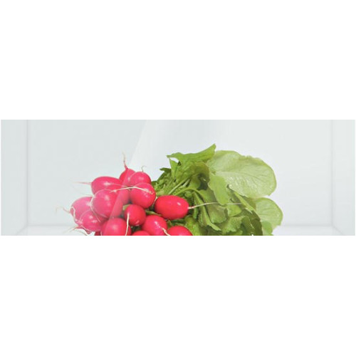 Встраиваемый однокамерный холодильник Bosch KIL82AF30R